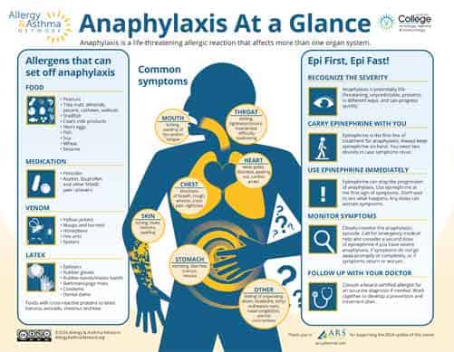 Planning for School with Food Allergies 4 Infographic titled "Anaphylaxis At a Glance." It lists common allergens like food and venom, symptoms affecting skin, heart, and more, and emergency steps, such as using an epinephrine autoinjector and calling 911. It's by Allergy & Asthma Network.