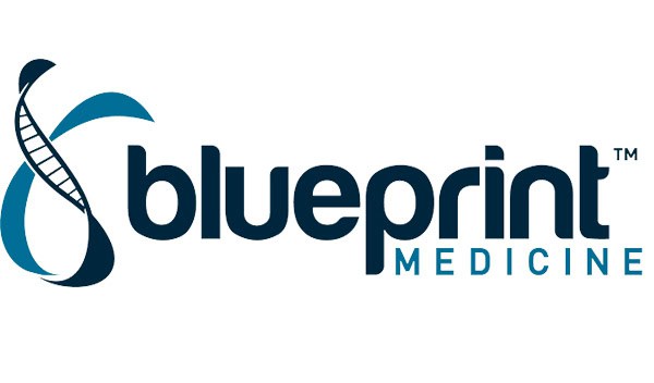 Logo of Blueprint Medicine featuring the company name in a bold, modern font. A stylized DNA strand forms part of the letter "b," incorporating shades of blue.