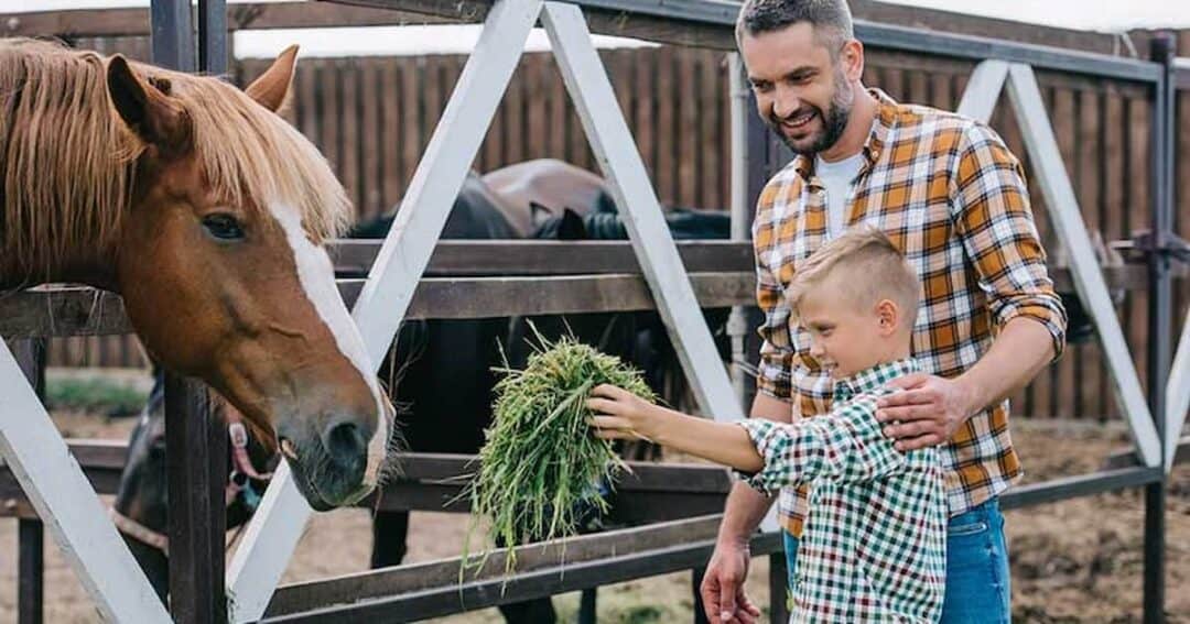 Grass Allergy 11 A man and a child are feeding a brown horse through a wooden fence. The child holds a bunch of grass towards the horse while the man, in a plaid shirt, smiles beside him. Two horses are visible in the background.
