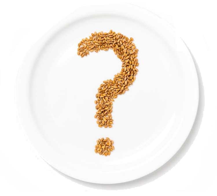 Food Allergies and Food Insecurity in America 6 A white plate with a question mark shape made of grains, possibly wheat, positioned at the center. The background is plain white, highlighting the grains arranged in the form of a question mark.