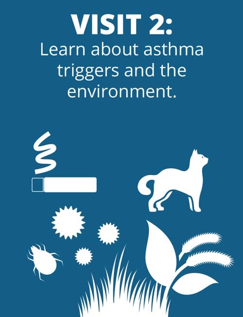 Blue background with white icons depicting asthma triggers, including pollen, grass, a dust mite, a cat, and a cigarette. Text reads: "Visit 2: Learn about asthma triggers and the environment.