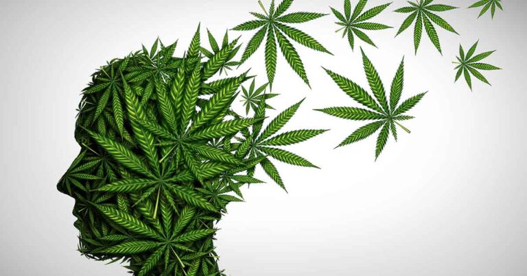 A silhouette of a person's head is creatively formed using green cannabis leaves, set against a light background. The leaves give an impression of the brain and ideas associated with cannabis.