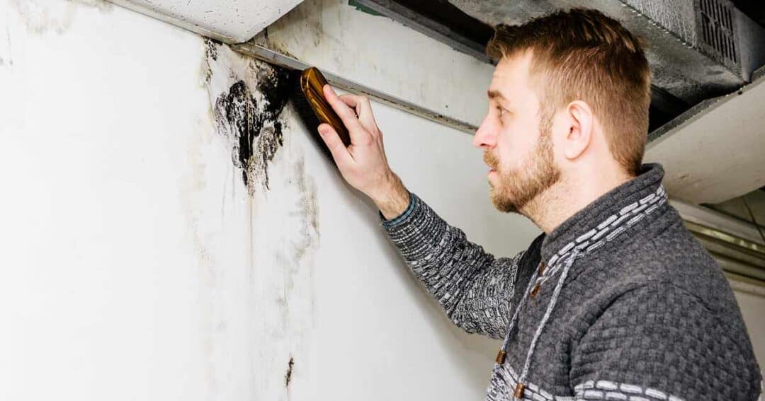 A person uses a device to inspect a damp, moldy spot on a white wall in a building. They are dressed in a gray sweater and the environment appears to be an interior space with visible ductwork above.