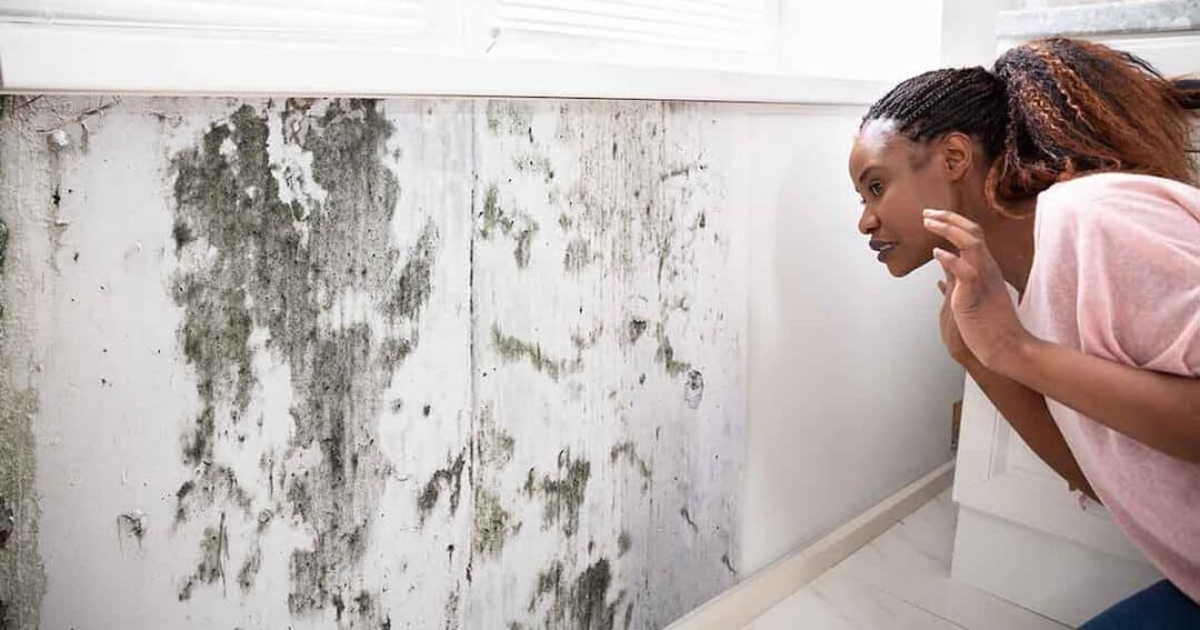 Mold Allergy 1 A person examines a wall with large patches of black mold. The wall is indoors, beneath a window. The person appears concerned, hunched slightly forward for a closer look.