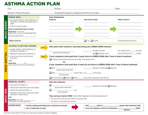 Asthma action plan chart with three color-coded zones: green for normal status with daily medications, yellow for worsening symptoms with quick-relief steps, and red for medical alert needing urgent care. Includes sections for medication details and contact info.