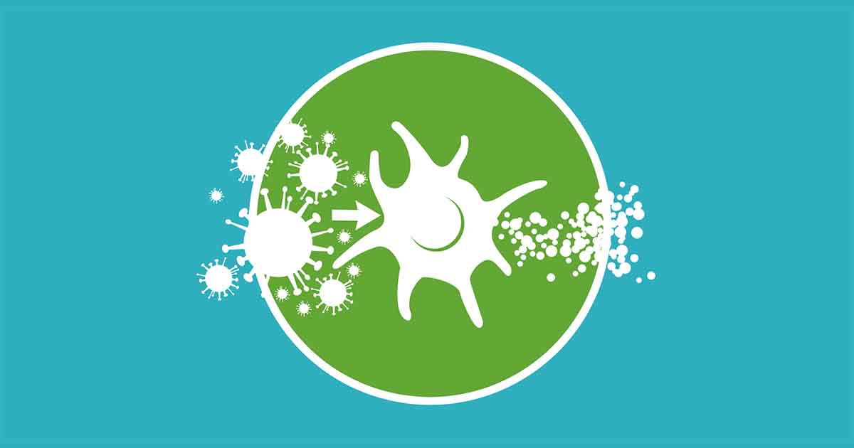 Achieving Control in Type 2 Inflammation 12 Achieving Control in Type 2 Inflammation