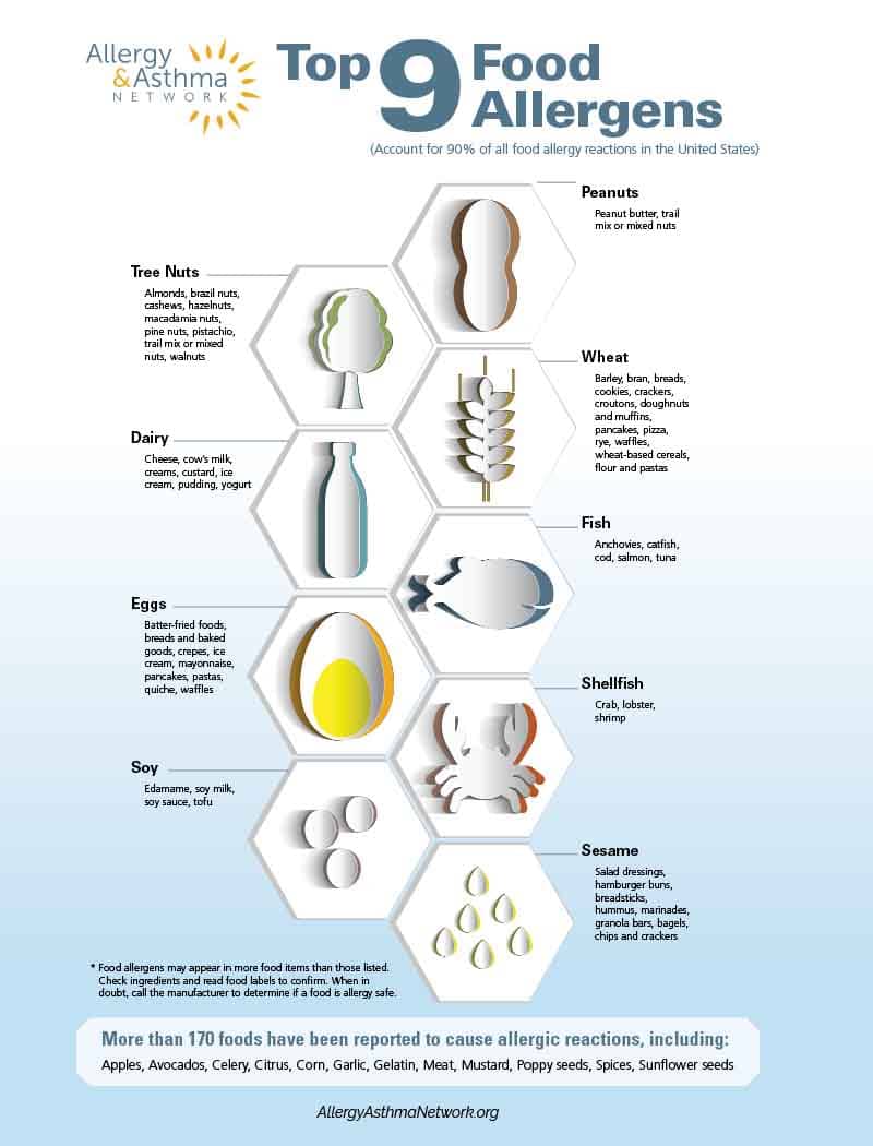 Infographic titled "Top 9 Food Allergens," listing peanuts, tree nuts, dairy, wheat, soy, fish, eggs, shellfish, and sesame. Each allergen is illustrated with images and examples. Allergy & Asthma Network logo on top left.
