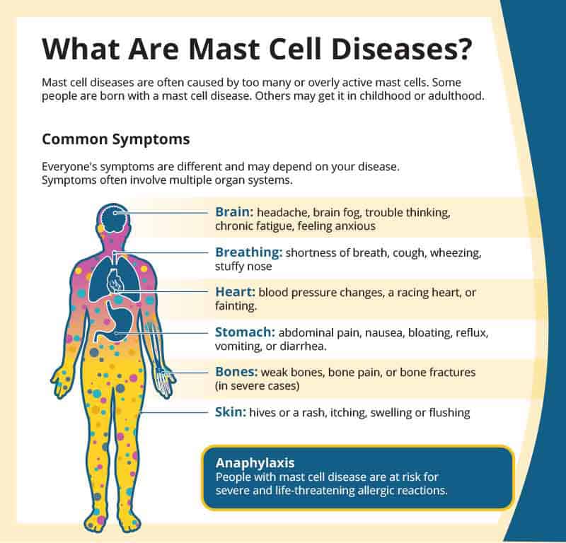 Infographic titled "What Are Mast Cell Diseases?" It details common symptoms affecting multiple organ systems, including the brain, heart, stomach, bones, and skin, with an emphasis on risks of severe allergic reactions.