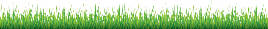 Grass Allergy 7 Illustration of tall, green grass blades with tips outlined in white, set against a black background. The grass is densely packed, creating a lush effect, with various shades of green giving depth.