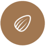 A simple white outline of an almond is centered on a brown circular background.