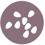 A circular, muted mauve background with nine white, irregularly shaped ovals scattered across the center.