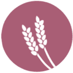 A mauve circular icon featuring two stylized white wheat stalks side by side.