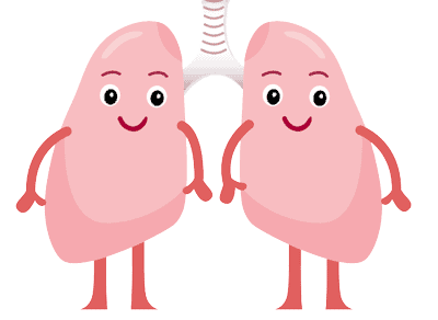 Illustration of two cartoon lungs with smiling faces, arms, and legs, standing next to each other. They are connected at the top by a stylized trachea.