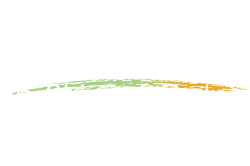 A digital illustration featuring a series of horizontal lines and shapes in green, orange, and gray tones against a black background. The composition has an abstract, geometric style.